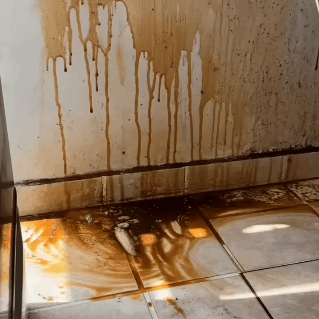 Removedor de Grasa Cocina